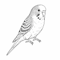 portratt-7205